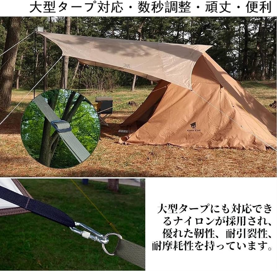 81MznpM+w-L._AC_UF894,